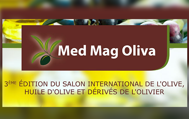med-mag-oliva-2015-640x405