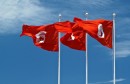 Tunisia-flags55