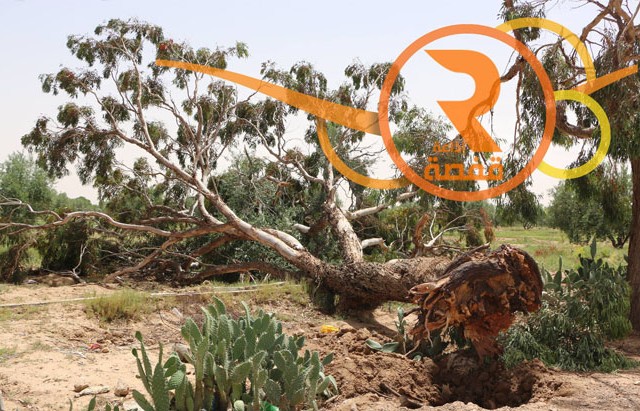 أضرار عواصف في سيدي عيش_صورة بتاريخ 12-05-2016.jpg