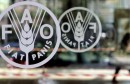 The logo of the Food and Agriculture Organisation is seen on the door of the headquarters in Rome.